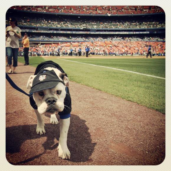 Meet your Posher, Liz - Picture 1 of 1